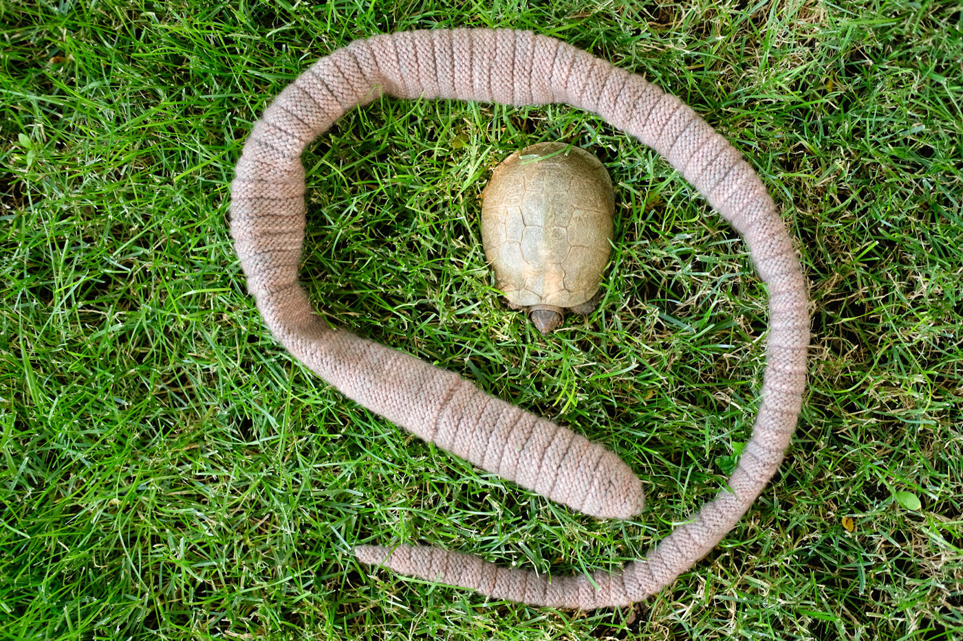 Knit your own Earthworm