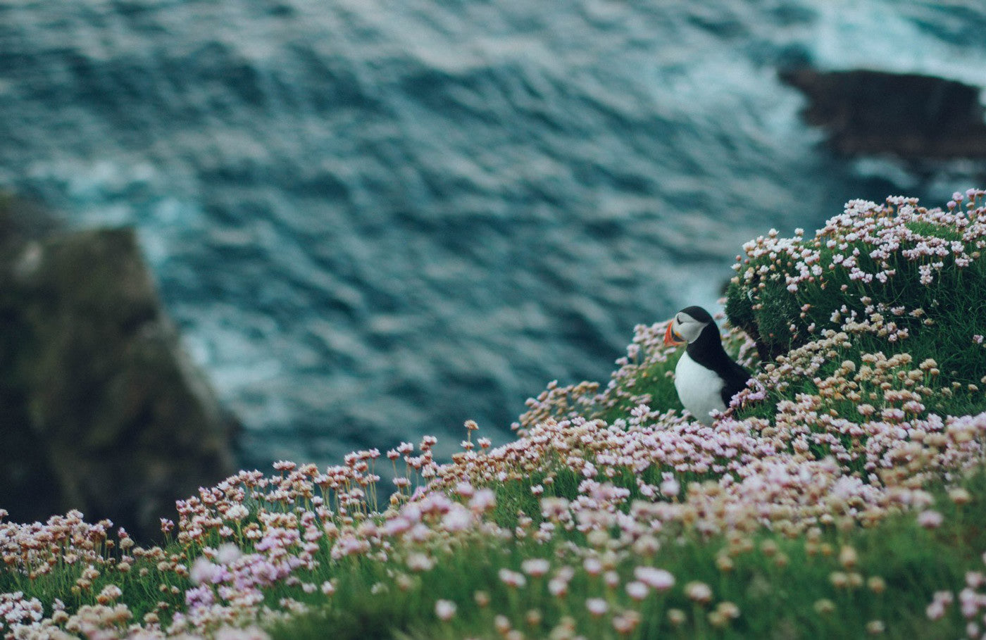 Views of Shetland