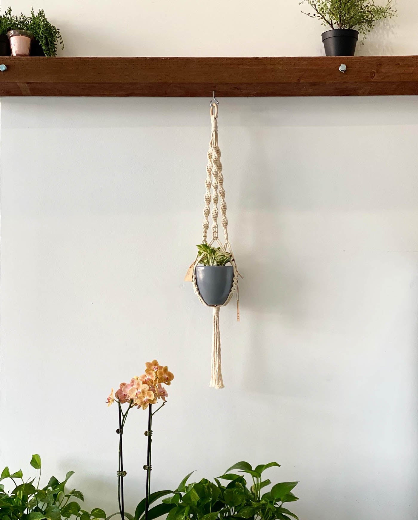 Plant hanger and shelf