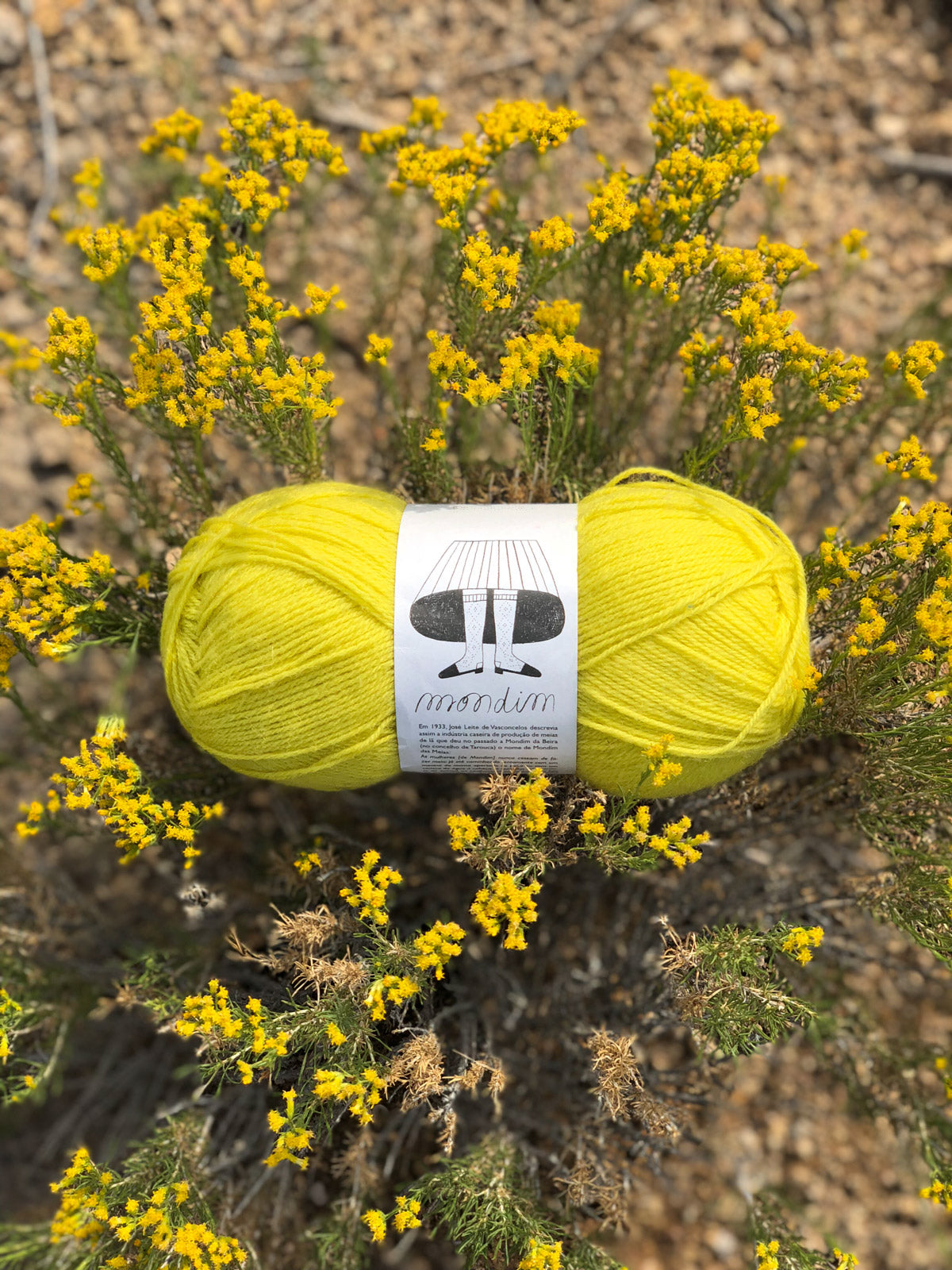Retrosaria Mondim yarn in Yellow 107