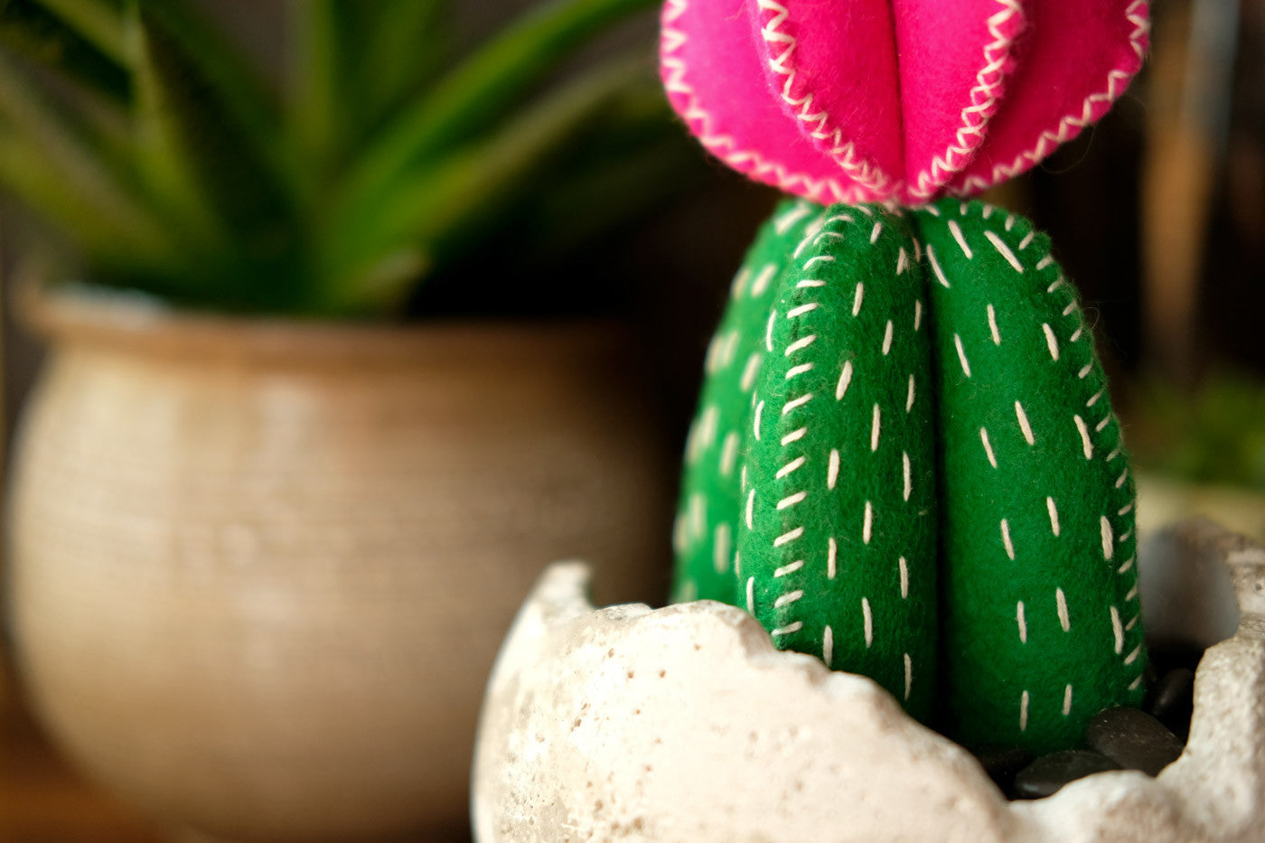 Detail of Katy's Lunenburg Makery Cactus Kit