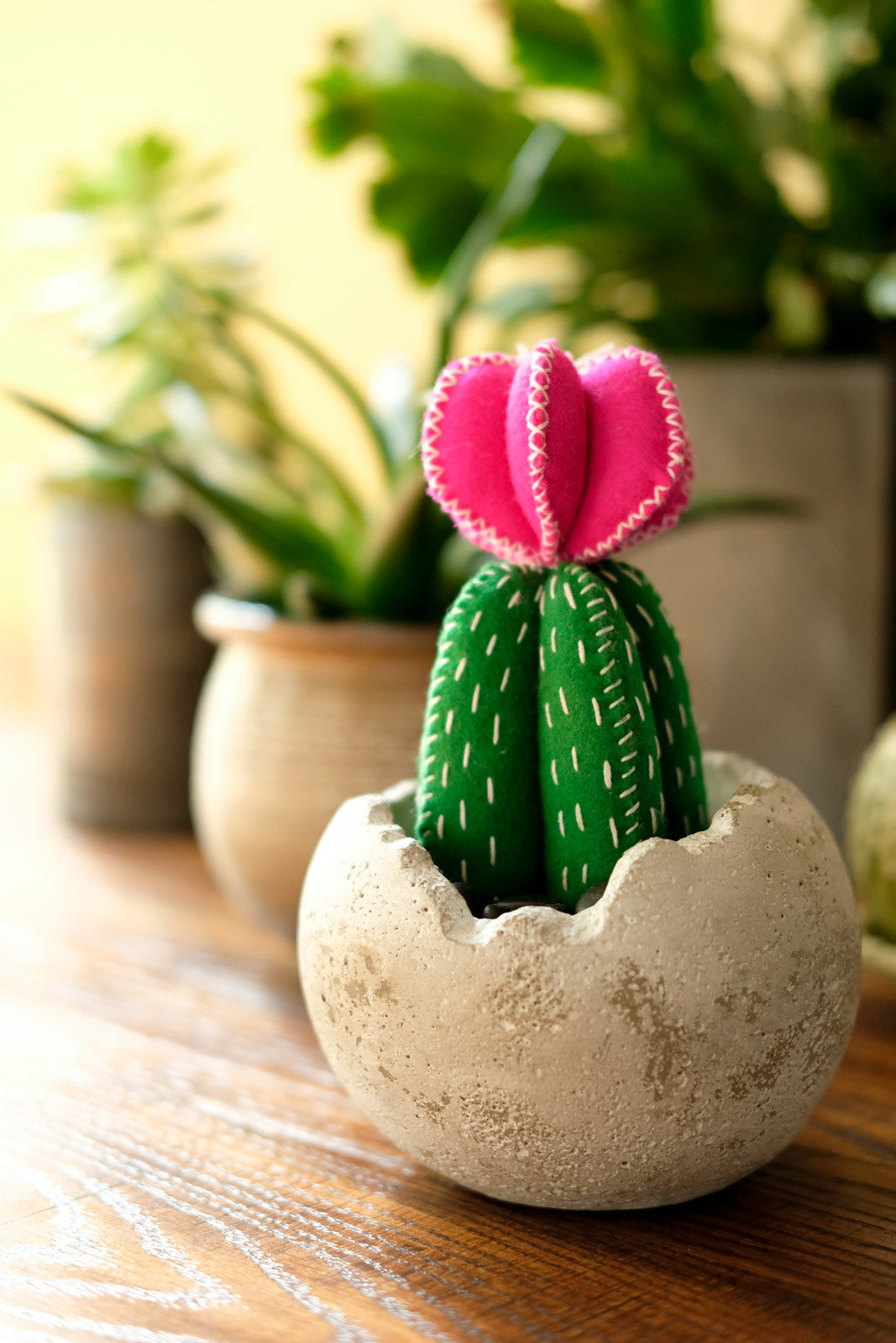 Katy's Lunenburg Makery Cactus Kit