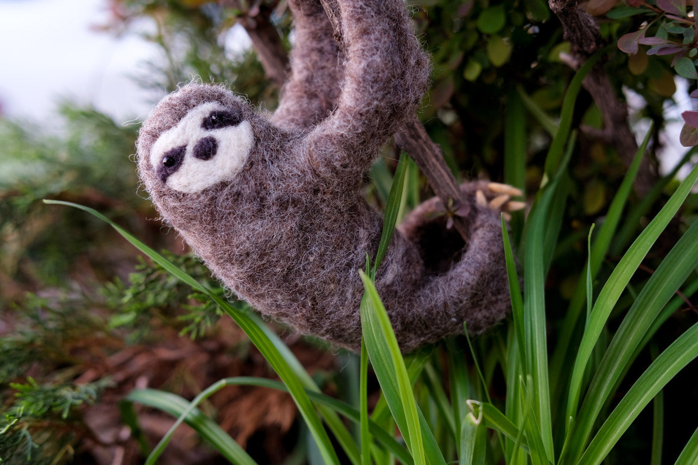 The Lunenburg Makery Needlefelted Sloth