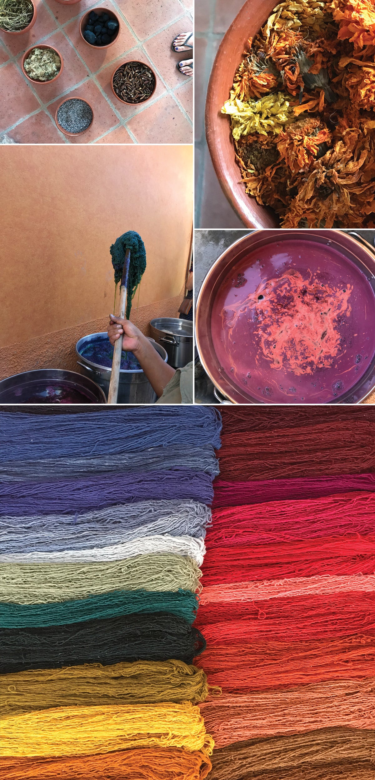 Natural Dyeing in Oaxaca