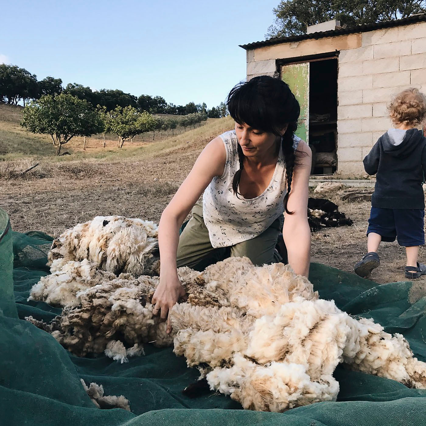 Rosa sorting freshly shorn fleece for yarn