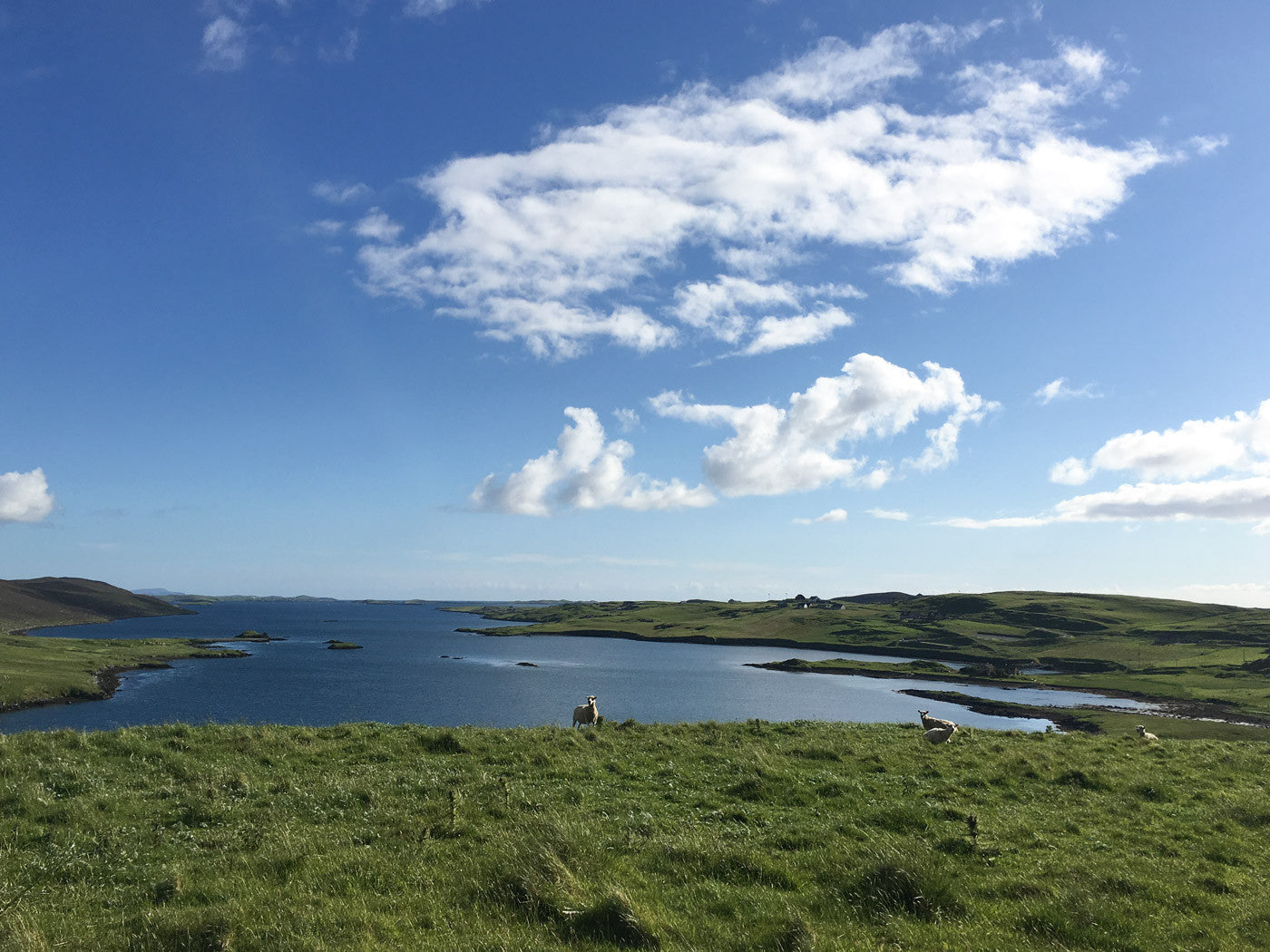 Shetland Country Side