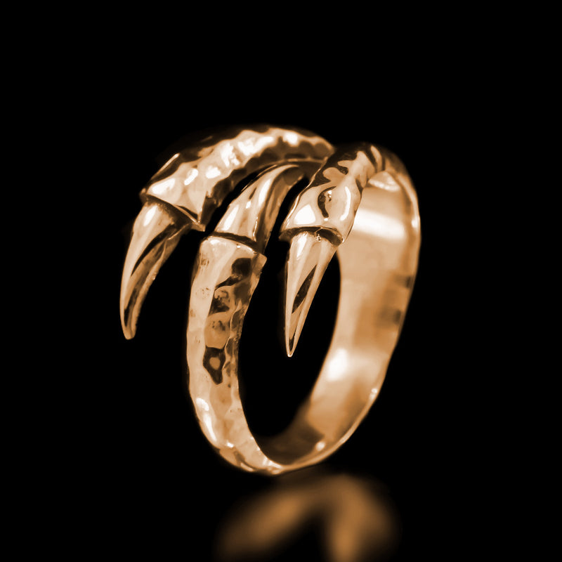 Horseshoe Ring - Brass – Twisted Love Jewelry Works NYC