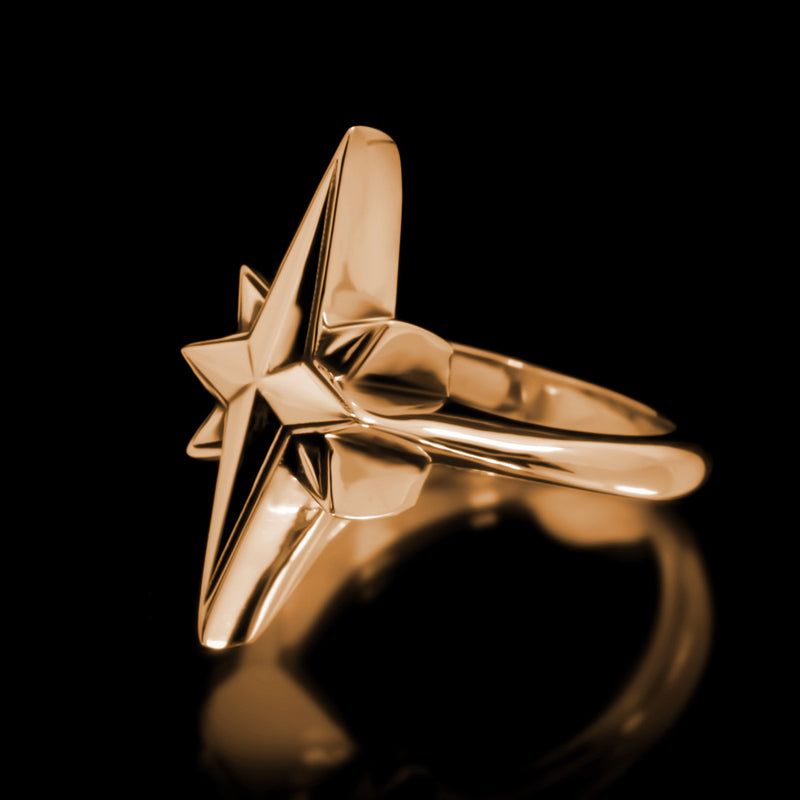 Horseshoe Ring - Brass – Twisted Love Jewelry Works NYC