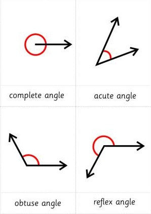 Study of Lines and Angles – The Learning Ark