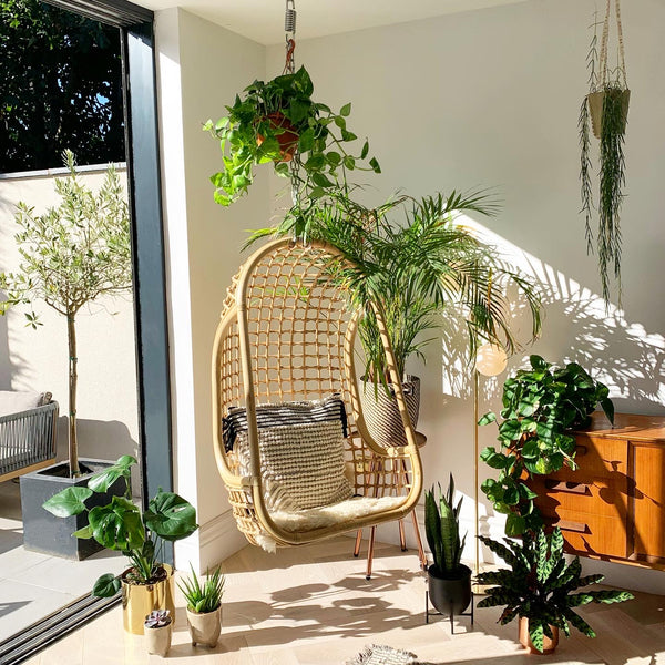 Haws Watering Cans Indoor House Plants