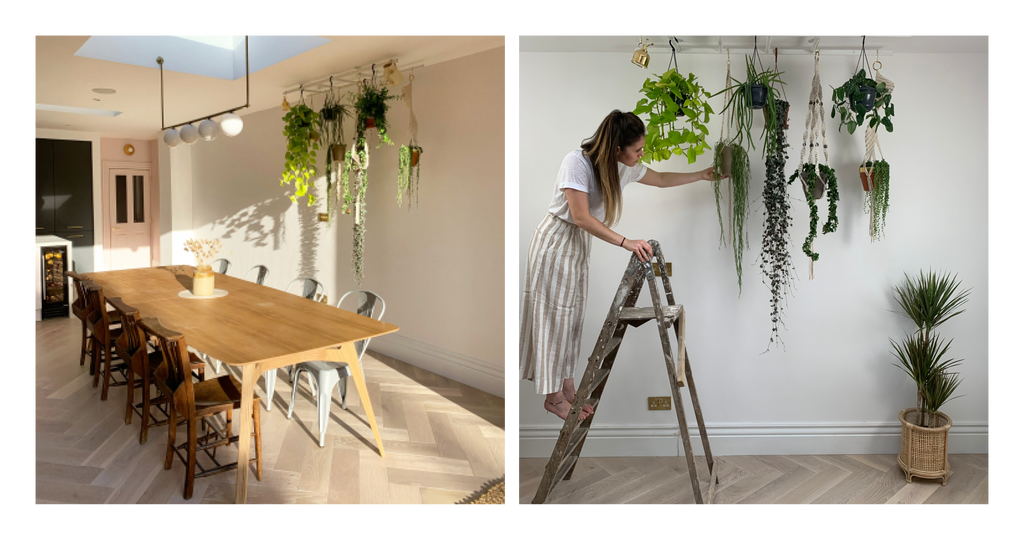 Haws Watering Can House Plants Hanging Style