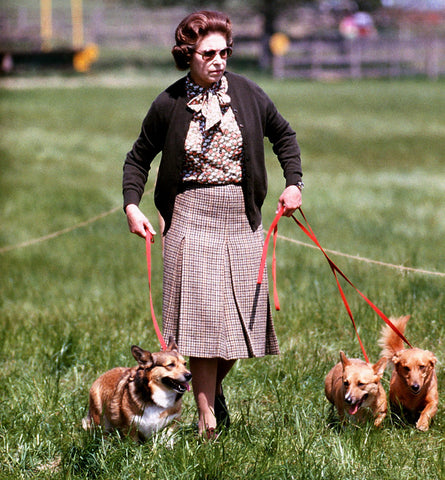 The Queen with her corgis