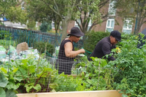 Urban Growth London initiative communities learning more about gardening 