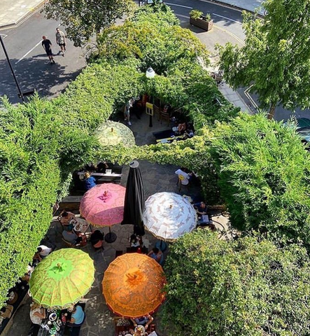 Above picture of The Scolt Head with East London Parasol's in their beer garden