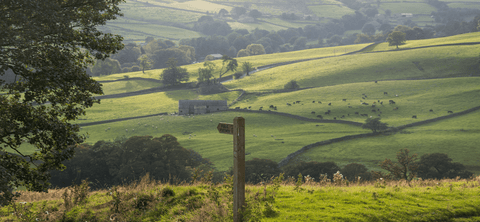 Long walks and image of the countryside with green rolling hills