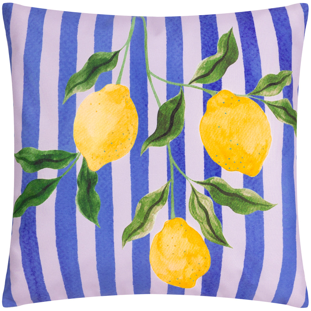 Lemons 43cm Reversible Outdoor Blue Polyester Cushion Roseland