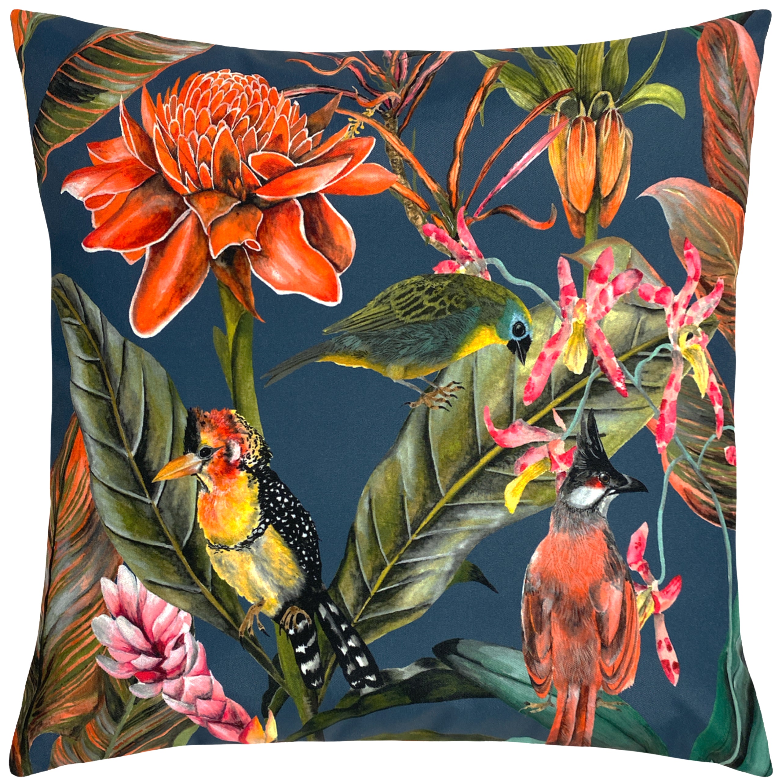 Exotics 43cm Reversible Outdoor Polyester Square Cushion Roseland