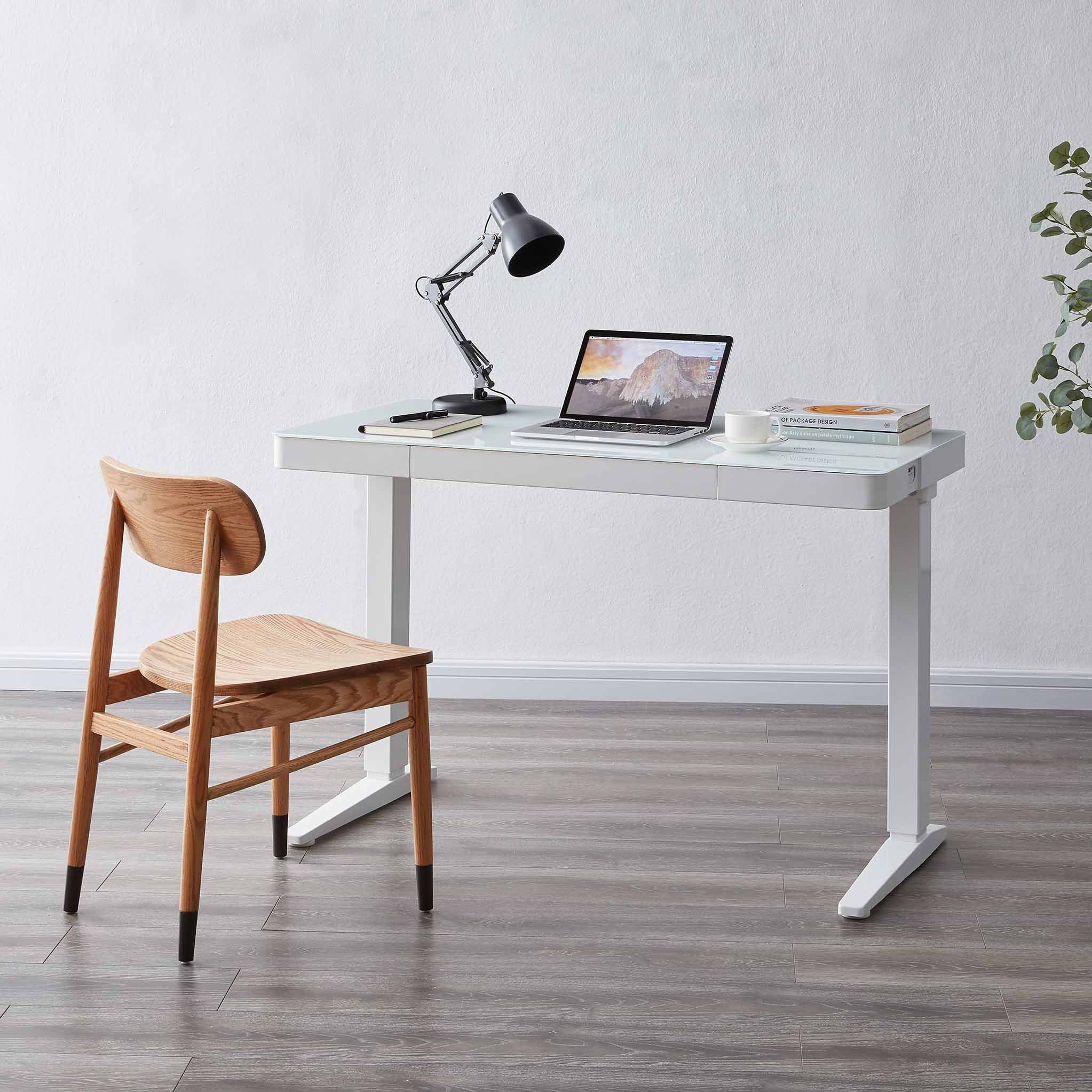 lana modern writing desk