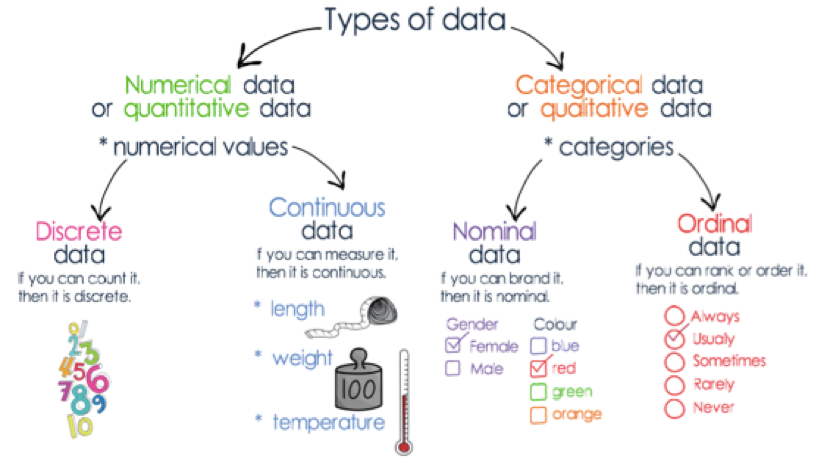 Data examples. Categorical data данные. Data Types. Nominal and Ordinal data. Categorical and numerical.