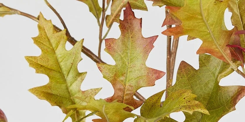 Close up of Artificial Oak Leaves. | Afloral