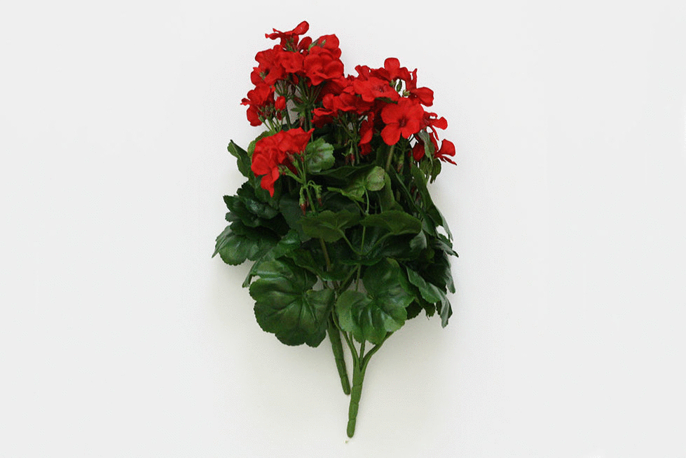 Geranium Wreath