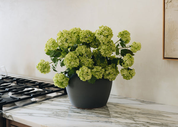 Fake Flower Arrangements with Snowballs