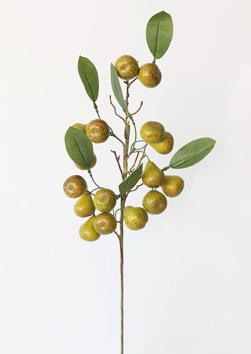 Ilex Berry Branches – Native Flower Company