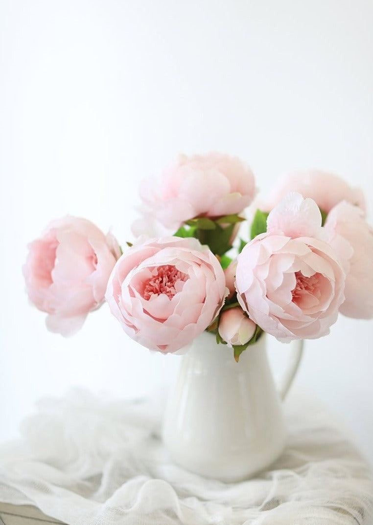 light pink peonies