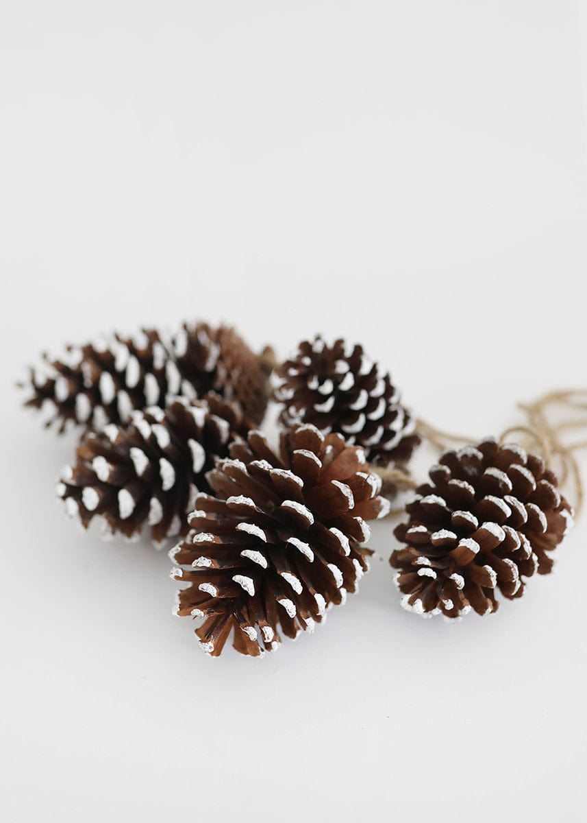 100 Mini Pine Cones 100% Natural 3cm to 5 Cm 
