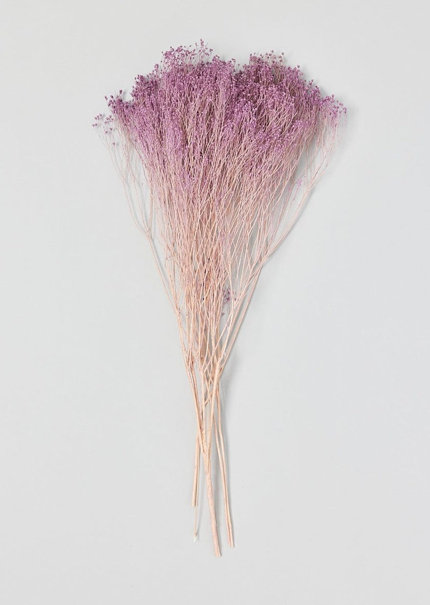 Dried And Preserved Flowers – Ivy Blue and Willow