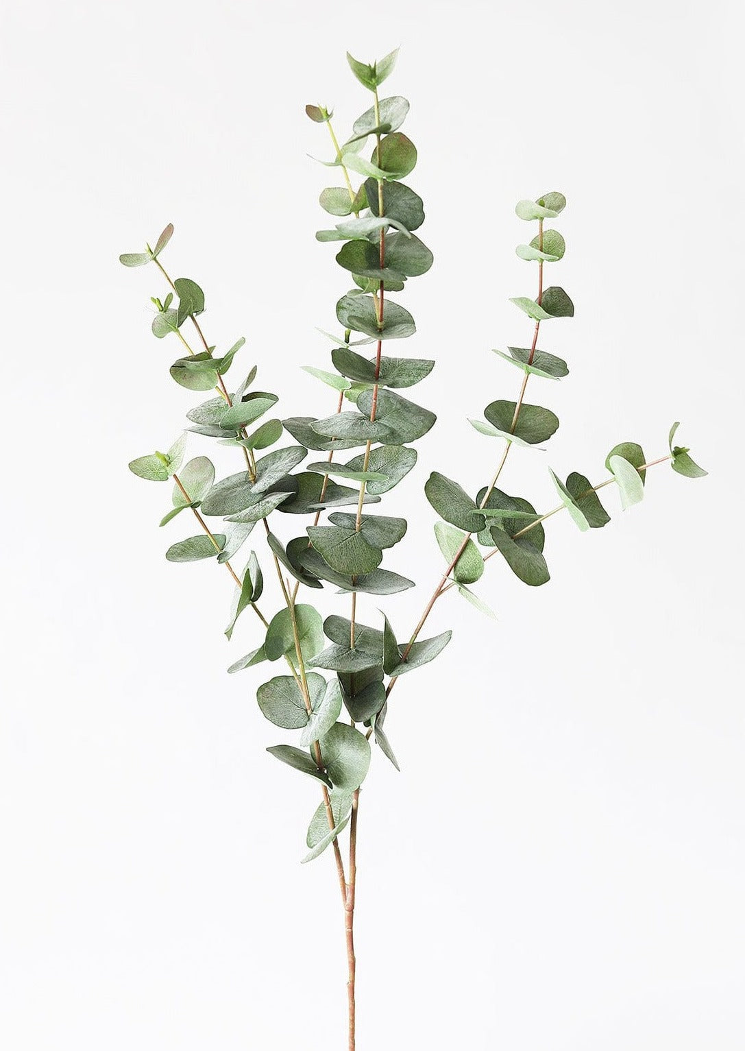 400 Pieces Eucalyptus Leaves Artificial Eucalyptus Petals Fake Leaves – If  you say i do