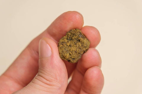 Rolling a small piece of hash between his fingers