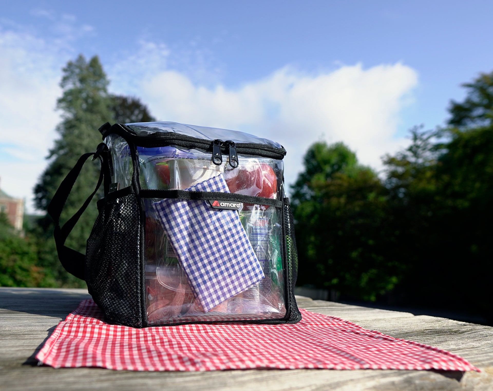 Amaro Clear Lunch Bag, Clear Lunch Bag Medium, Clear Lunch Bag for Work ...