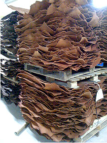 Floto Parma Leather Hides