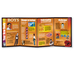 3B Scientific Your New Body: Boys Folding Display