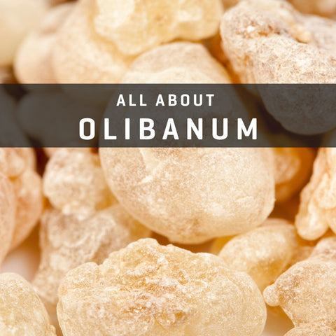 Image of Olibanum