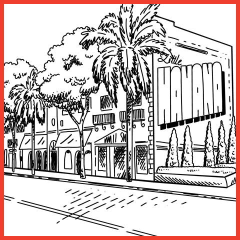 Calle Ocho Miami illustration