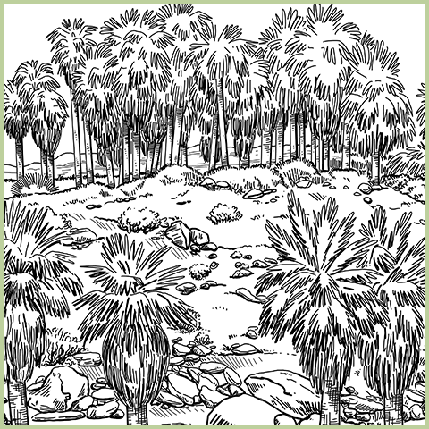 thousand palms illustration