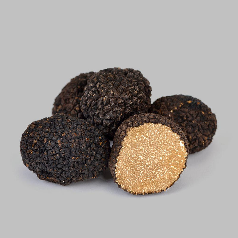 Fresh Black Summer Truffles - 16 oz (1 lb) - Trufflin®