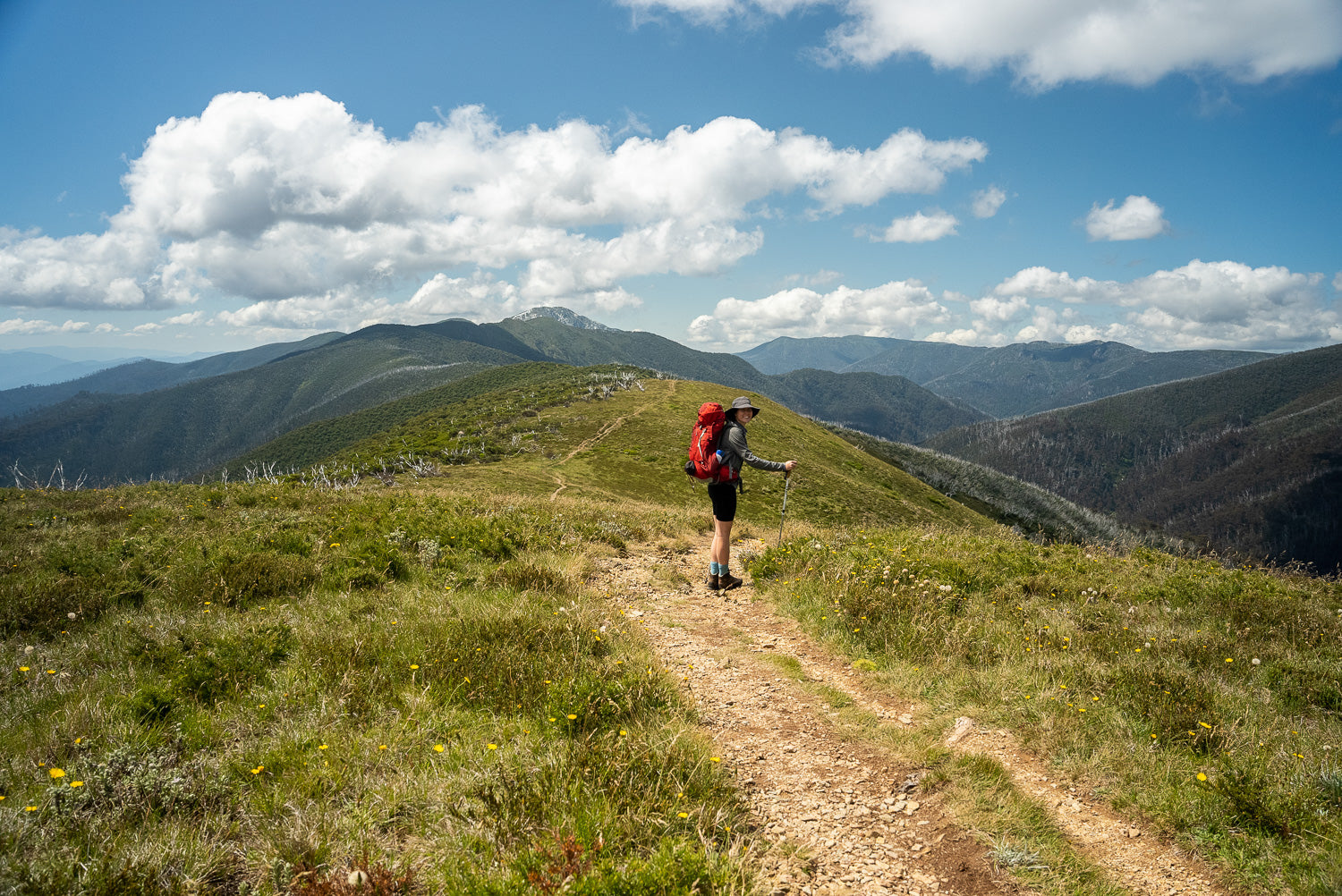 Hiking towards Mount Feathertop on the Razorback Ridge Trail