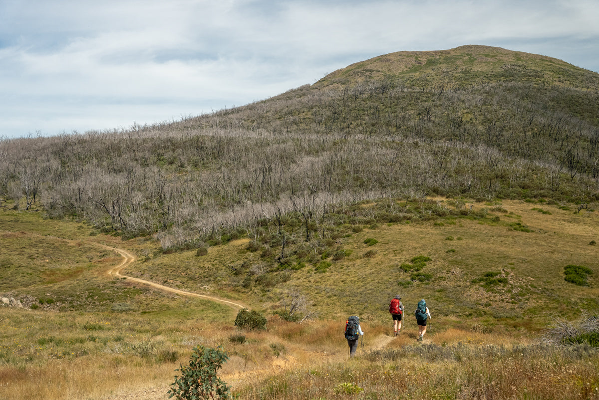 Hiking the 40km Jagungal Loop in Kosciuszko National Park