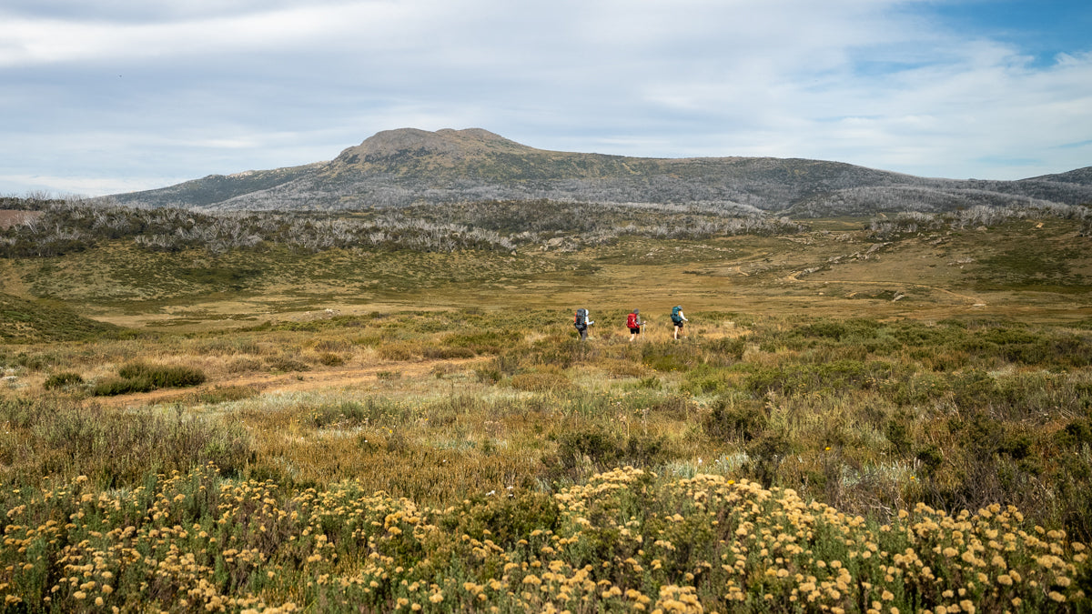 Hiking the 40km Jagungal Loop in Kosciuszko National Park