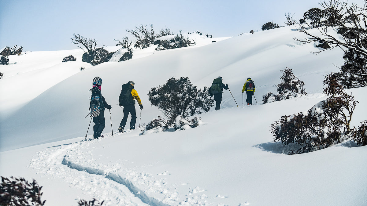 A group of ski tourers, snowshoers, splitboarders in Kosciuszko National Park