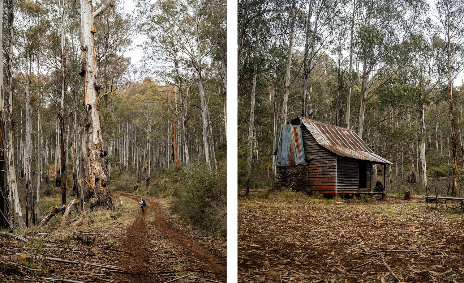 Buddong Hut in Bago State Forest