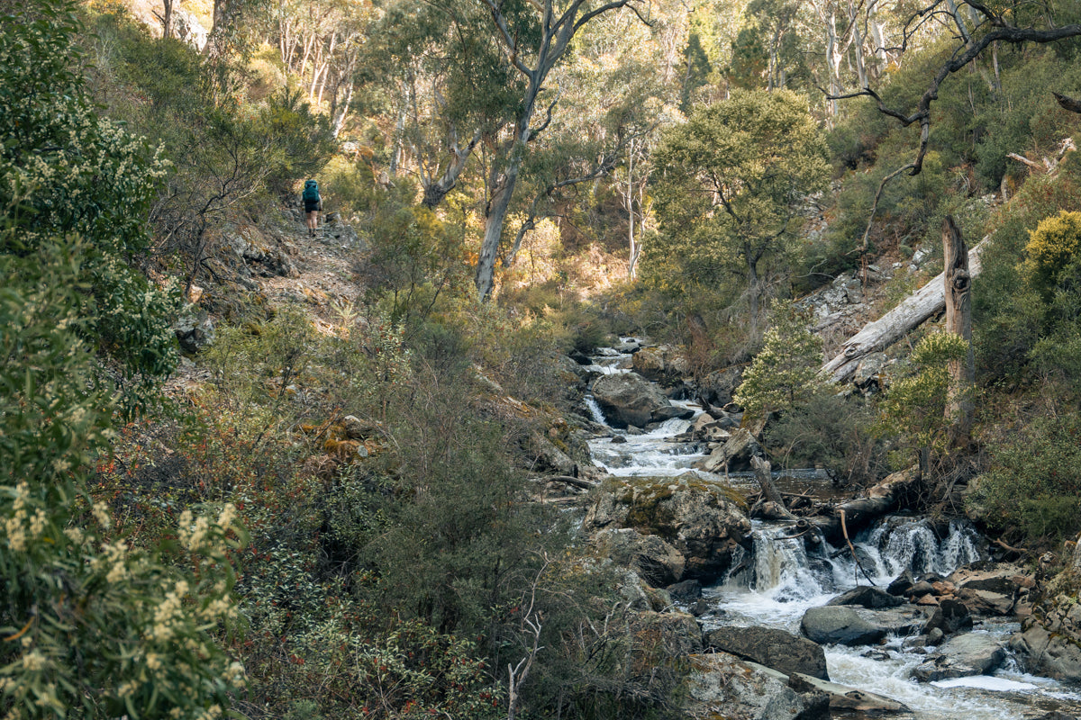 Hiking the Hume and Hovell track alongside the Micalong Creek