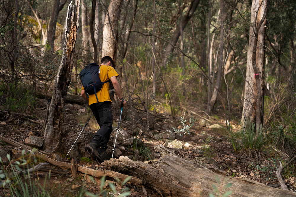 Walking amongst the melaleuca trees and native bush scrub up to Chimney Rock