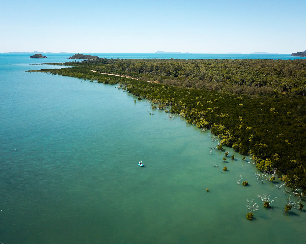 fly fishing for tusk and permit in North Queensland 