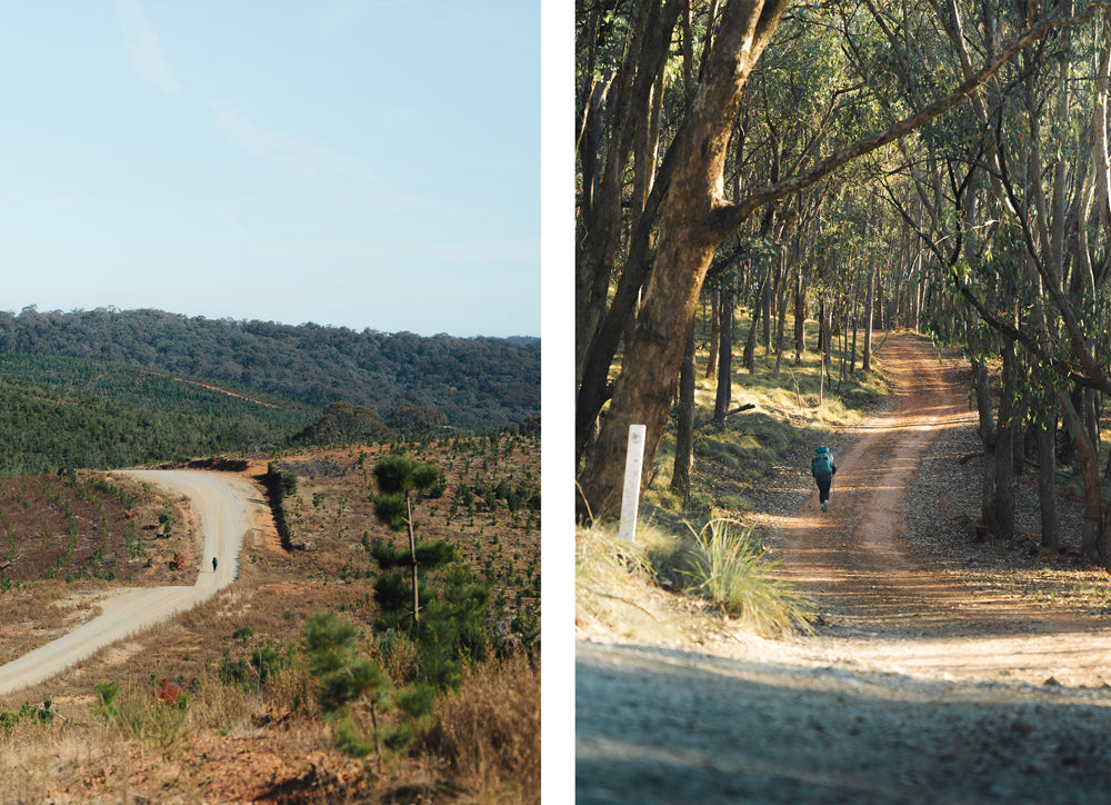 Hiking the Hume and Hovell track through Woomargama National Park