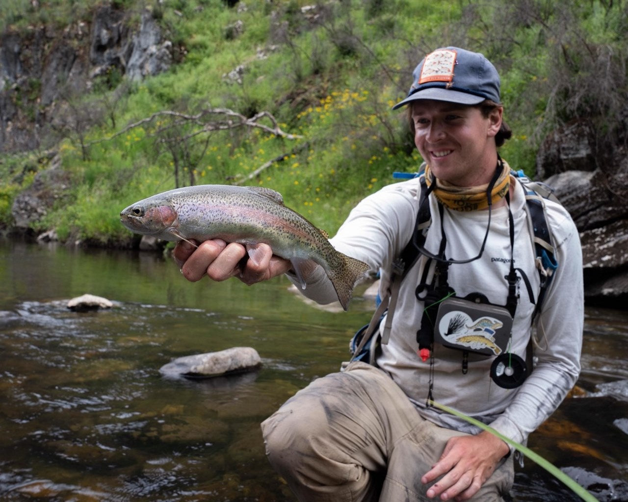 Wild high country rainbow trout in Kosciuszko National Park