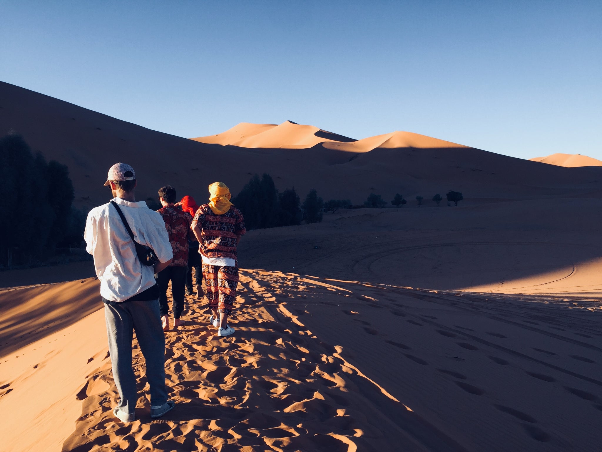exploring the dunes of the sahara